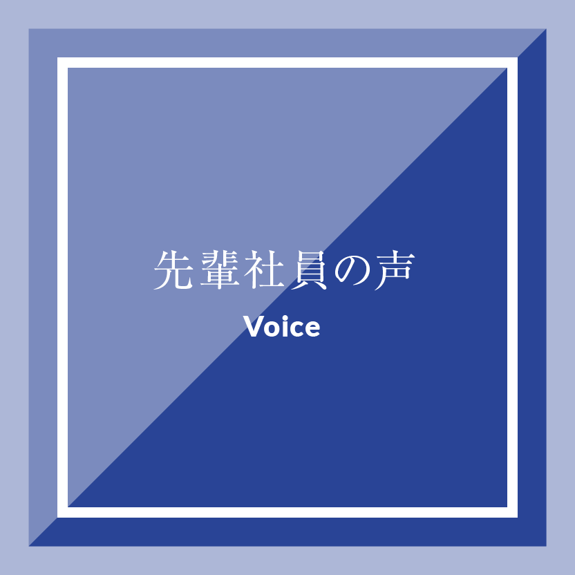 先輩社員の声