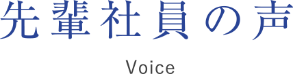 先輩社員の声